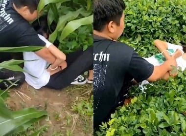 Hiếp dâm nữ sinh trên thảo nguyên quyến rũ